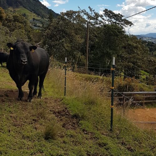 Poste de acero de engorde 1,82m Agrofácil_2